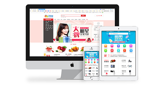 電子商務概述之商城系統有哪些類型？